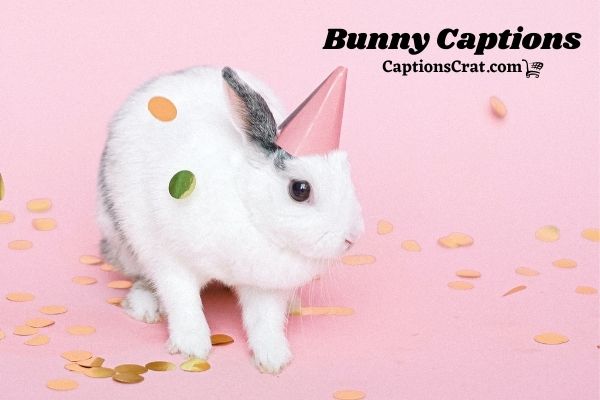 Bunny Captions For Instagram