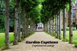 Garden Captions