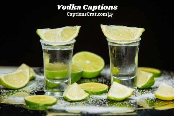 Vodka Captions For Instagram