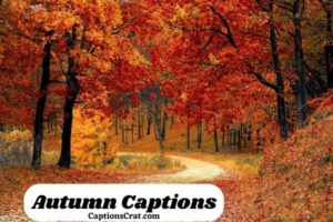 Autumn Captions And Quotes
