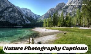 Nature Photography Captions