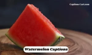 Watermelon Captions