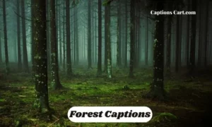 Forest Captions