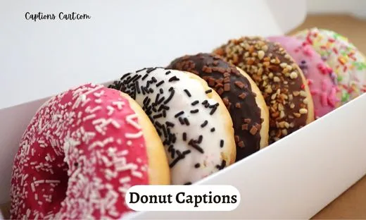 Donut Captions