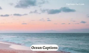 Ocean Captions